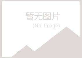 西安新城晓夏服务有限公司